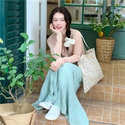 欧洲快车...小姐不见了封面